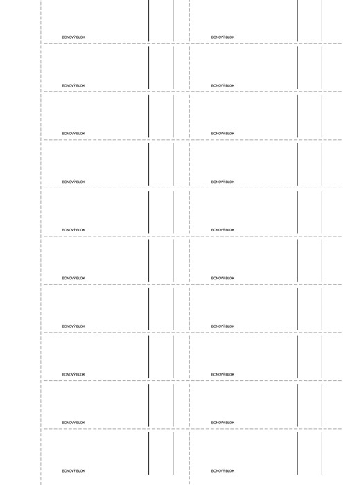 Optys 1264 bonová kniha 100 listů A4
